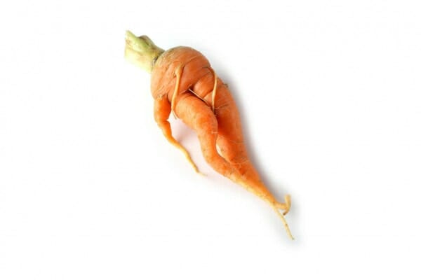 ugly carrot