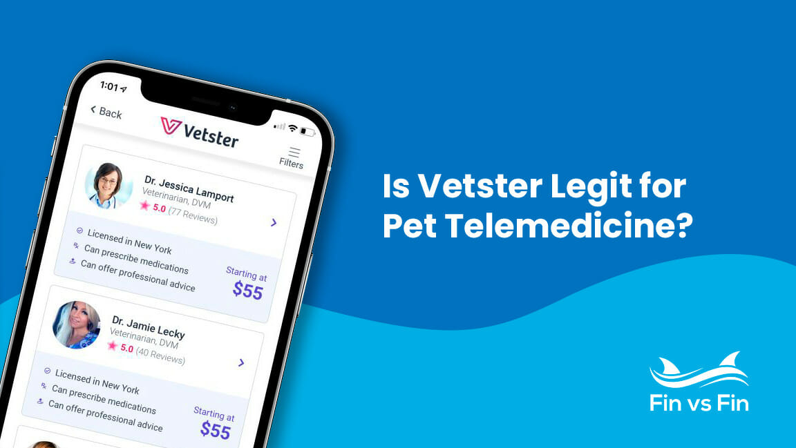 Airvet Review - Does Pet Telemedicine Actually Work?