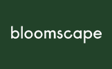 Bloomscape vs The Sill vs Rooted: Where to Buy House Plants Online