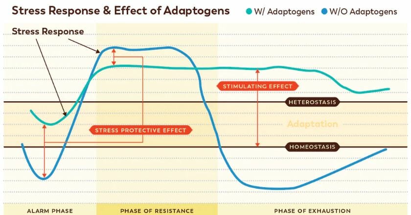 stress response graph