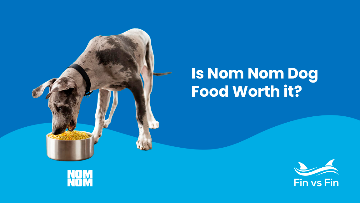 Nom Nom Review - Is Their Fresh Dog Food Really Worth It? We Found Out.