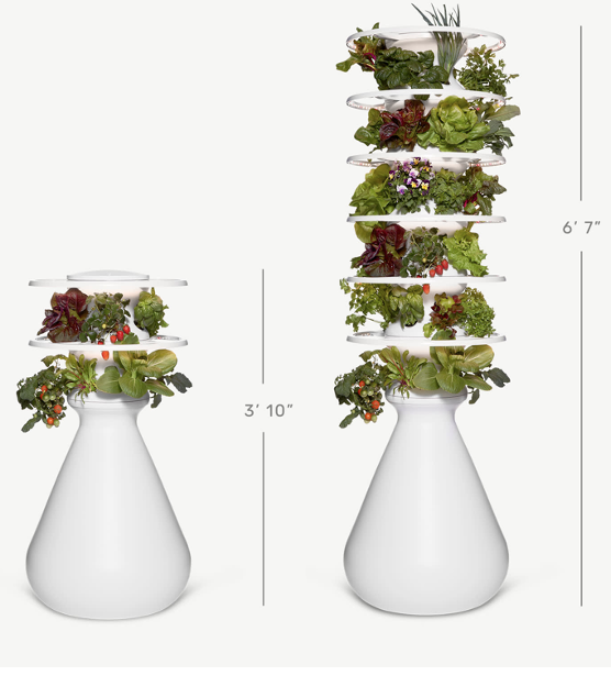 plant pots