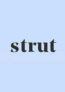 Strut