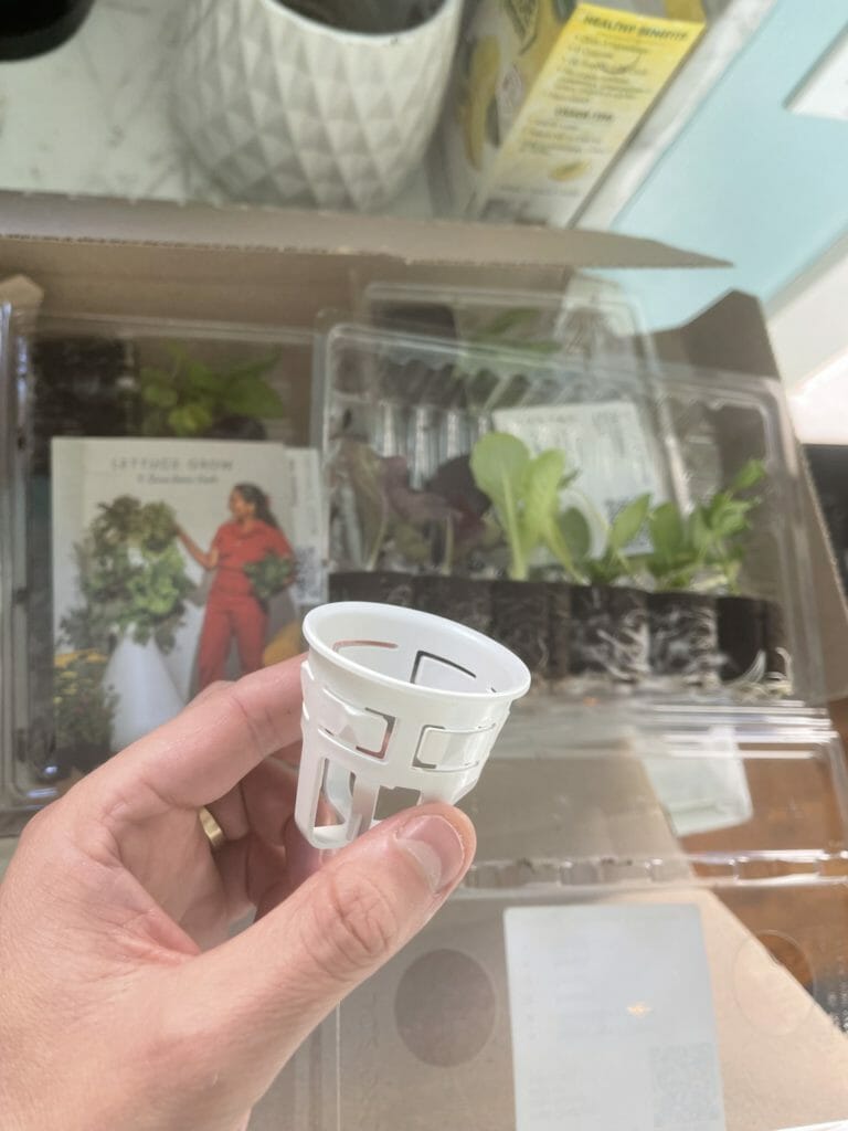 Lettuce Grow mini plant pot