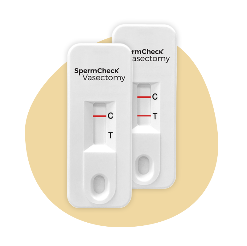 sperm check vasectomy