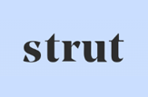 strut logo