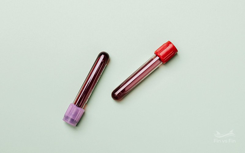 blood collection tube