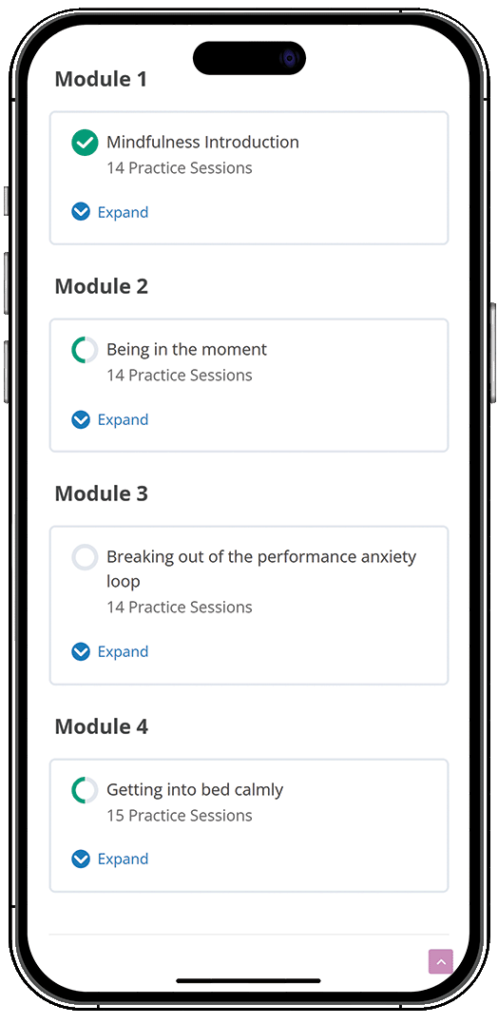Performance Anxiety Program