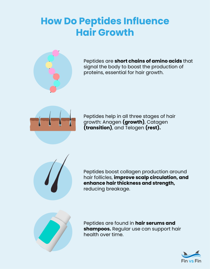 how do peptides influence hair growth