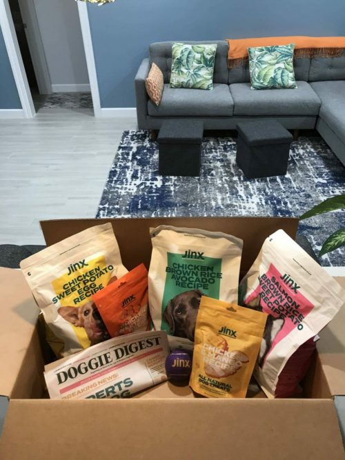 Jinx Review - Is Premium Kibble for Modern Dogs Worth it?