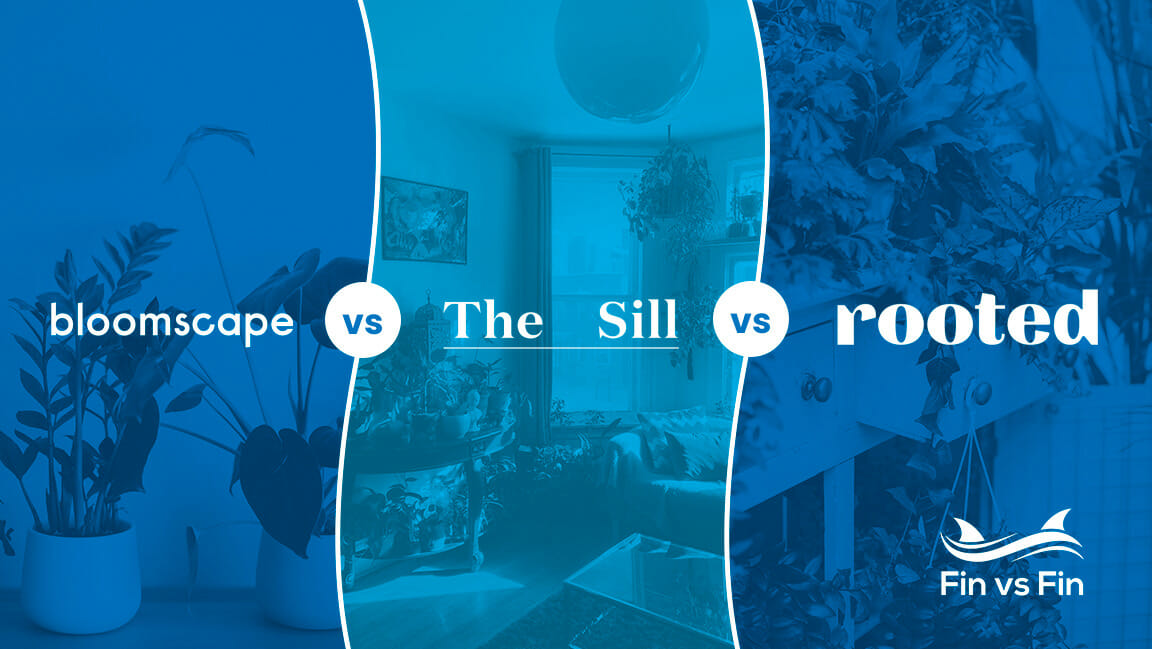 bloomscape vs the sill vs rooted - which is best