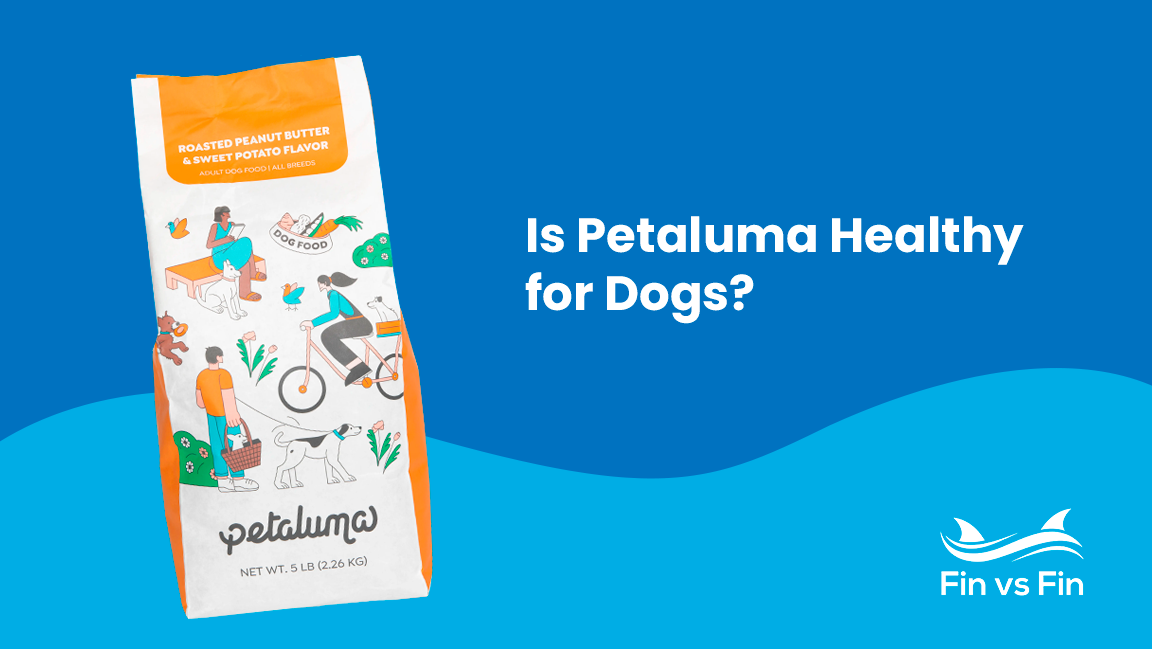 petaluma dog food review featured image