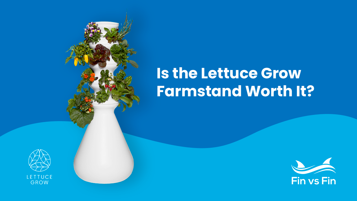 lettuce grow farmstand review
